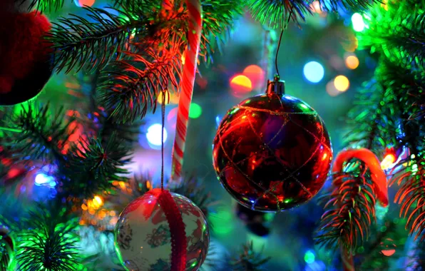 Picture decoration, branches, lights, toys, ball, spruce