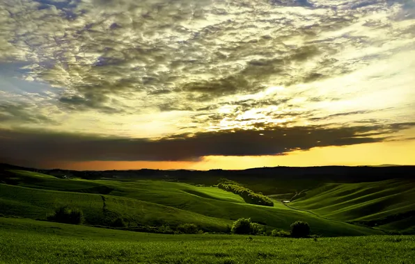 Picture greens, the sky, grass, clouds, trees, sunset, hills