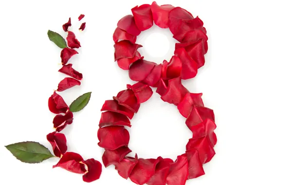 Picture roses, petals, red, white background, leaves, March 8, congratulations, women's day