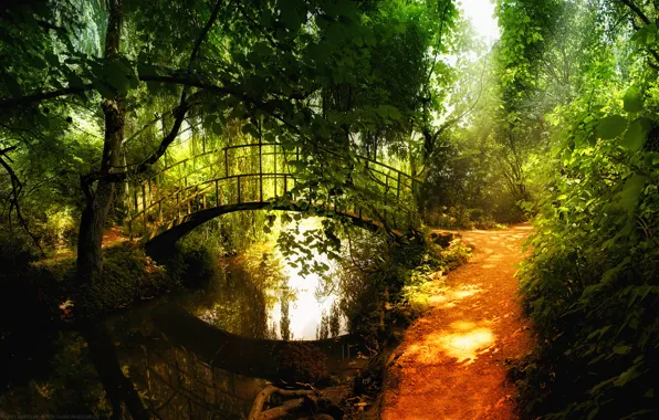 Picture reflection, river, forest.the bridge