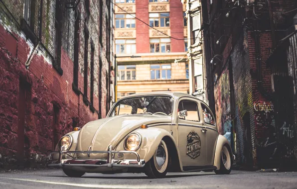Picture Volkswagen, Street, Beetle, 64