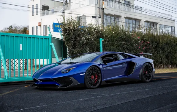 Picture Lamborghini, Blue, Street, Aventador, Superveloce, LP-750