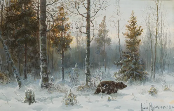 Picture winter, forest, snow, nature, picture, bear