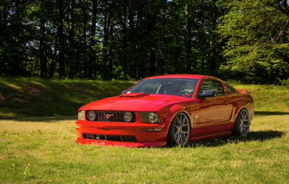 Picture Mustang, Ford, Red, GT, 2005-2009