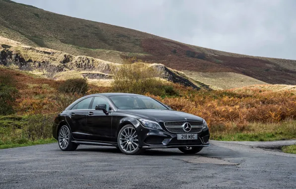 Picture photo, black, tuning, Mercedes-Benz, CLS 350, car, metallic, BlueTec, 2014