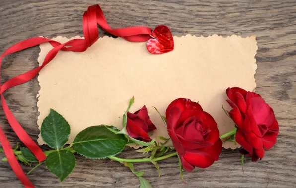 Picture love, flowers, roses, petals, valentine's day