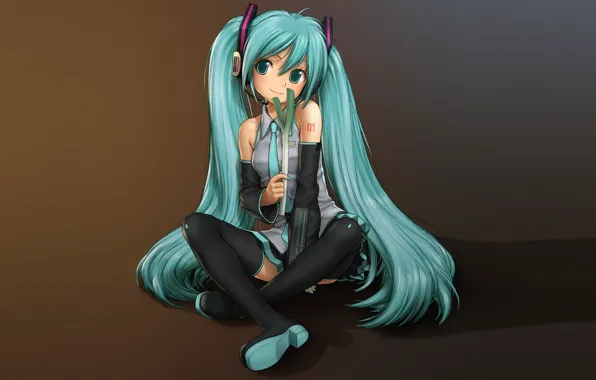 Picture headphones, vocaloid, hatsune miku, green hair, Vocaloid