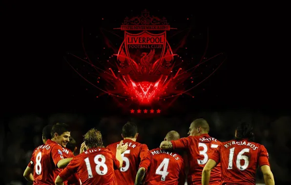 Picture wallpaper, sport, logo, football, Liverpool FC, players