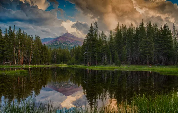 Picture forest, the sky, clouds, reflection, mountains, lake, USA, Yosemite national Park, California