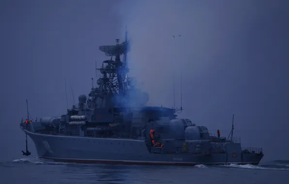 Picture ship, Navy, TFR, The black sea, The Black Sea Fleet, guard, &quot;Inquiring&quot;