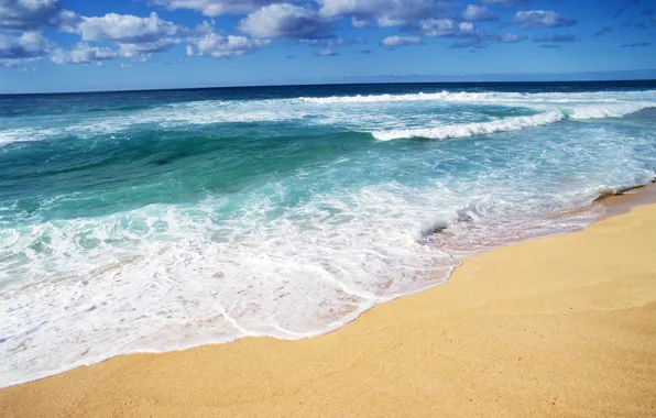 Picture sand, sea, wave, beach, summer, shore