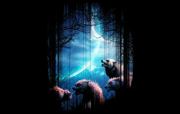 Picture forest, night, background, the moon, wolves