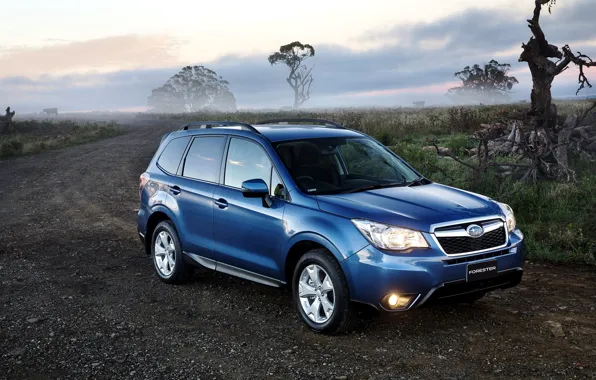 Picture road, blue, lights, Subaru, Subaru, Forester, Forester, 2014