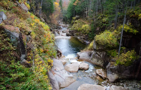 Picture autumn, stones, rocks, stream, River, river, nature, autumn
