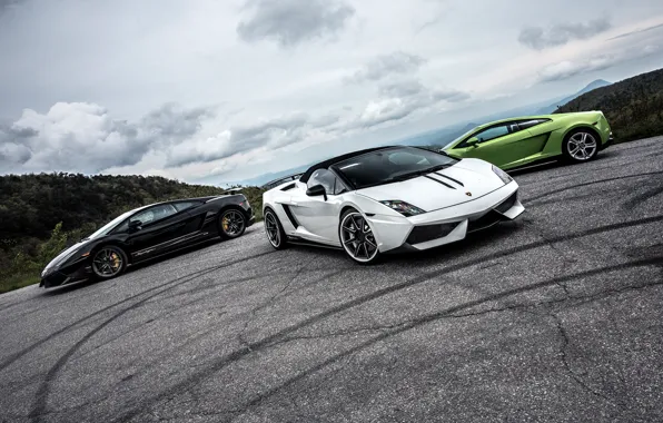 Picture green, Lamborghini, white, gallardo, black, spyder, LP570-4, superleggera, performante