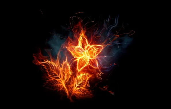 Picture flower, dark, fire