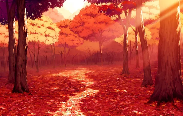 Picture Path, Trees, Forest, Rays, Autumn.