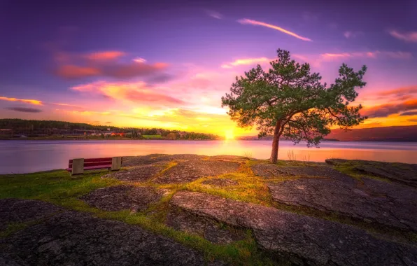 Picture sunset, lake, tree