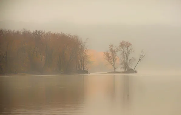 Picture fog, river, morning, morning, fog, early, Mississippi river