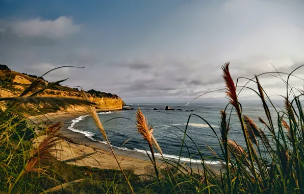 Picture sand, sea, the sky, grass, clouds, stones, rocks, coast, horizon, CA, USA