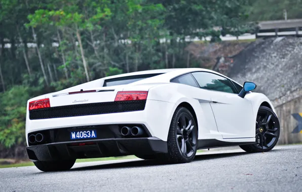 Picture white, Lamborghini, rear view, Lamborghini, Gallardo, Gallardo LP550-2, &quot;MLE&quot;