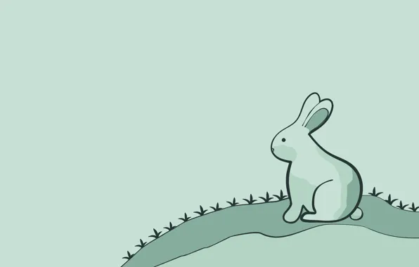 Picture hare, minimalism, rabbit, rabbit