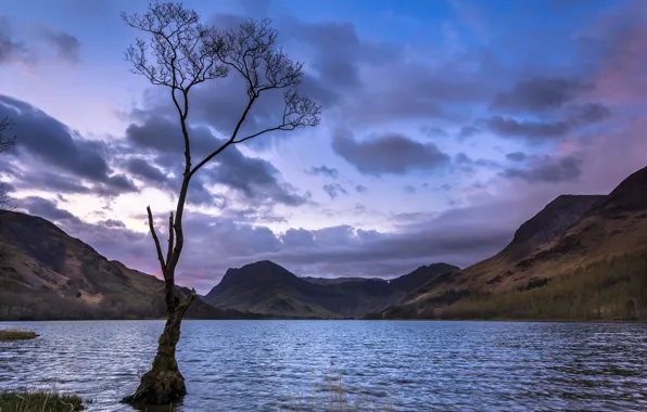 Picture sunset, mountains, lake, tree