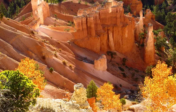 Picture autumn, Utah, USA, USA, Bryce Canyon, autumn, Utah, Bryce Canyon