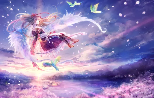 Picture wings, angel, anime, Sakura, birds