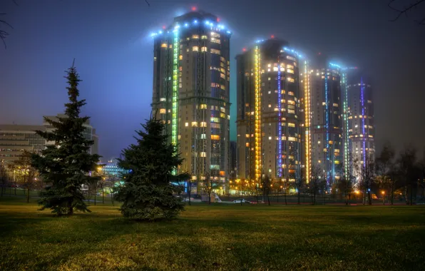 Picture grass, trees, night, lights, glade, ate, Moscow, Russia, Troparevo, Mirax park