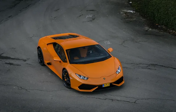Picture Lamborghini, Orange, Huracan, LP610-4