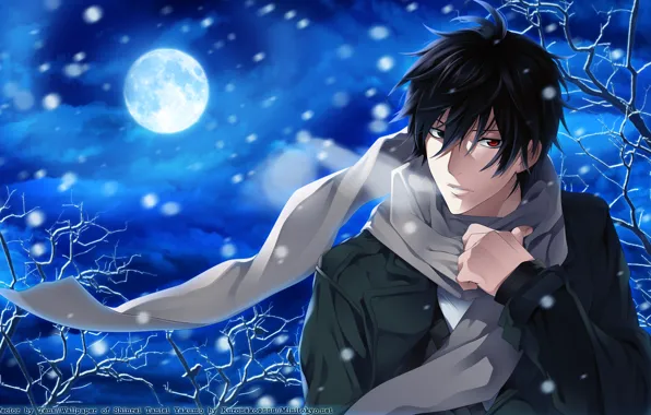 Picture snow, night, the moon, anime, scarf, guy, Psychic Detective Yakumo