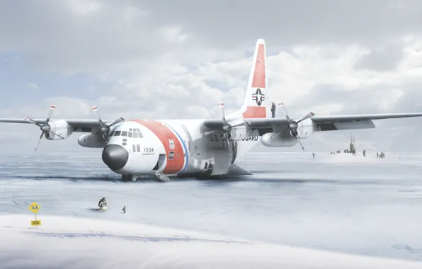 Picture plate, The plane, penguin, Antarctica