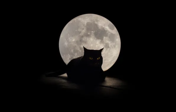 Picture cat, eyes, background, the moon