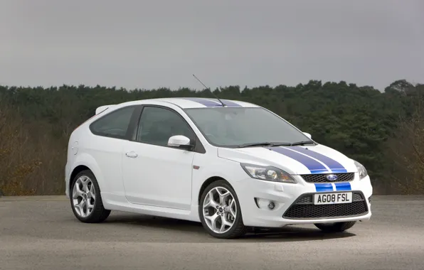 Picture Ford, 2008, white, Focus