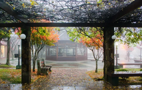 Picture autumn, bench, the city, rain, rain, autumn, bench, city​​