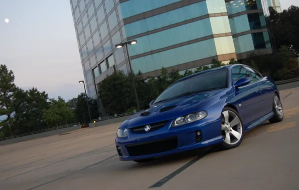 Picture Blue, Parking, Monaro, Cyti, Lowered