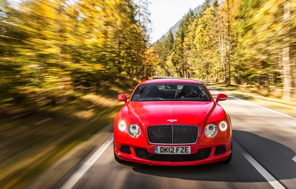 Picture Red, Auto, Bentley, Continental, Forest, Machine, The hood, Lights, The front, In Motion