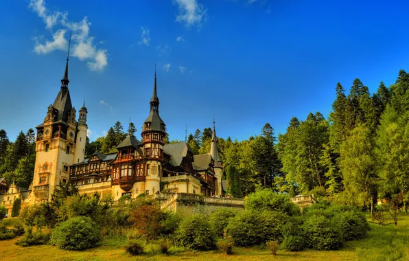 Picture forest, the sky, trees, house, castle, tower