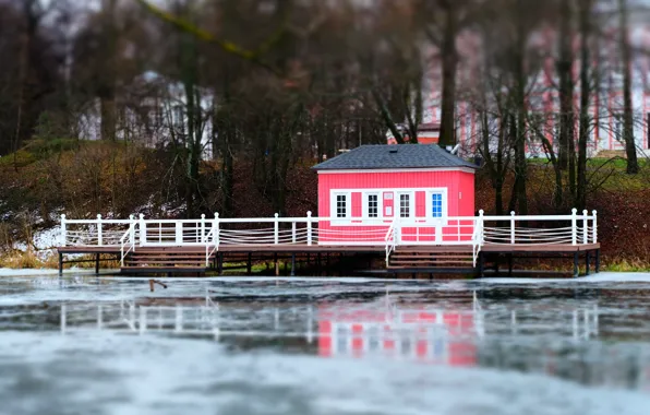 Picture ice, reflection, shore, wooden house, boat station, the pier in winter