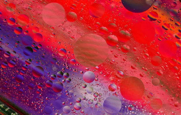 Picture light, bubbles, color, round, liquid
