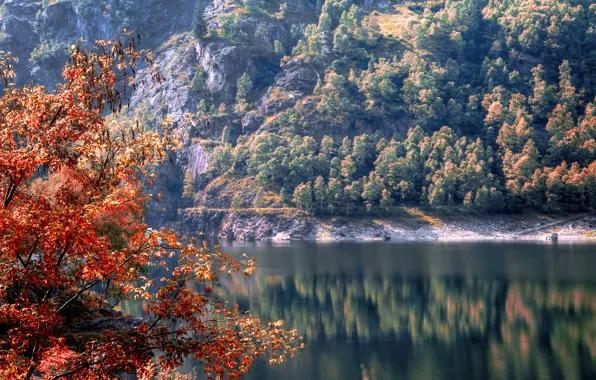 Picture autumn, trees, lake, slope