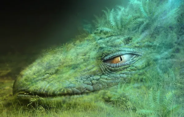 Picture green, Dragon, Grass, Head