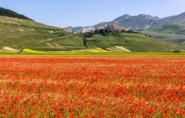 Picture field, flowers, mountains, Maki, home, meadow, Italy, the village, Castelluccio di Norcia