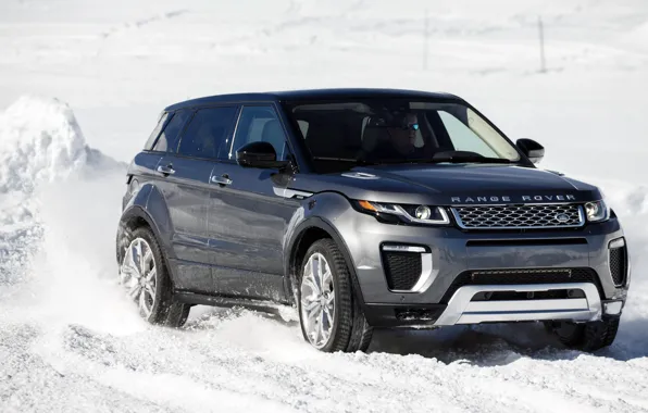 Picture car, SUV, Land Rover, Range Rover, car, the front, Evoque, suv, Autobiography