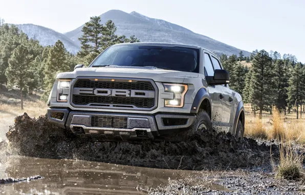 Picture Ford, Raptor, SuperCab, F150
