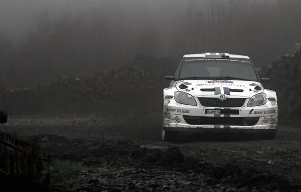Picture Skid, Dirt, Rally, Rally, The front, Skoda, Fabia, Fabia