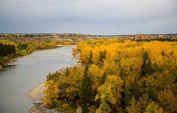 Picture autumn, forest, trees, bridge, river, field, home, yellow, Canada, Calgary