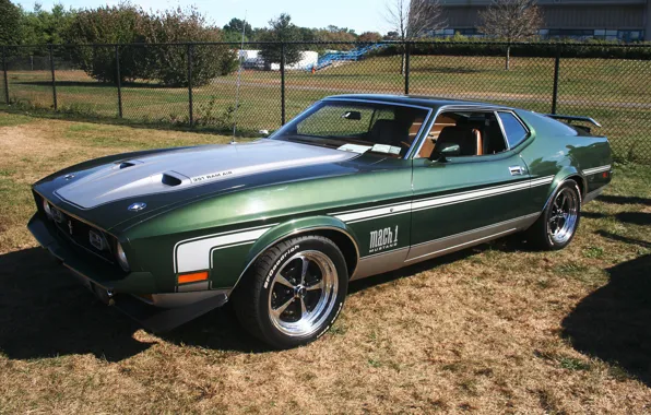 Picture green, Ford, mustang, air, ram, 351, mach1