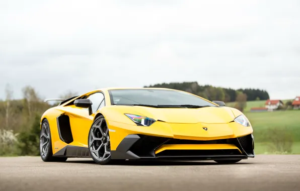 Picture car, auto, Lamborghini, yellow, tuning, Aventador, Lamborghini, Novitec Torado, LP 750-4